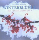Winterblüher: Düfte und Farben im winterlichen Garten
