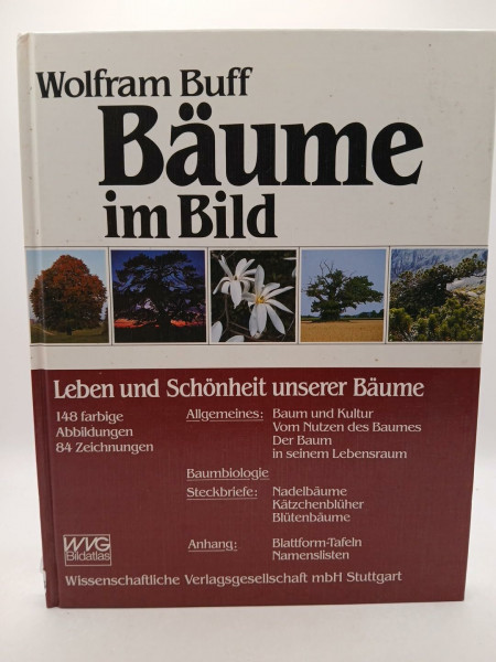 Bäume im Bild. Leben und Schönheit unserer Bäume