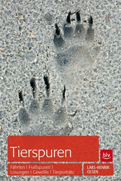 Tierspuren: Fährten | Fraßspuren | Losungen | Gewölle u.a.