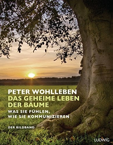 Das geheime Leben der Bäume: Was sie fühlen, wie sie kommunizieren. Der Bildband. Mit dem vollständigen Text der Originalausgabe
