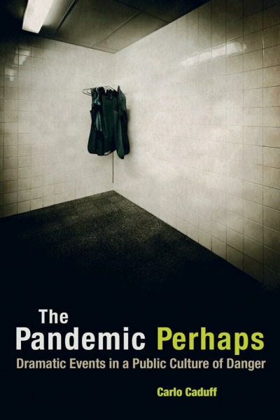 Pandemic Perhaps: Dramatic Events in a Public Culture of Danger