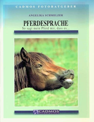 Pferdesprache: So sagt mir mein Pferd, dass es... (Cadmos Ratgeber)