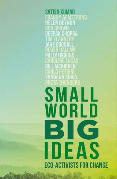 Small World, Big Ideas