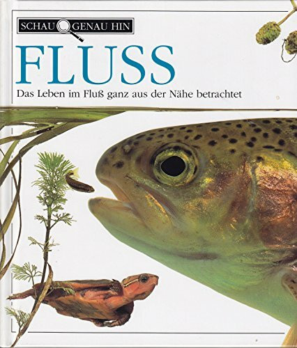 Schau genau hin / Fluss