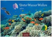 Unterwasserwelten 2022 - Format L