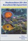 Nachzuchten für das Korallenriff-Aquarium