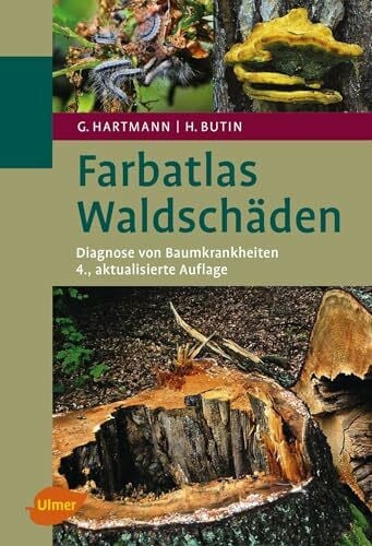 Waldschäden: Diagnose von Baumkrankheiten