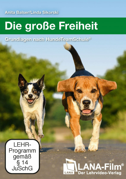 Die große Freiheit: Grundlagen nach HundeTeamSchule®