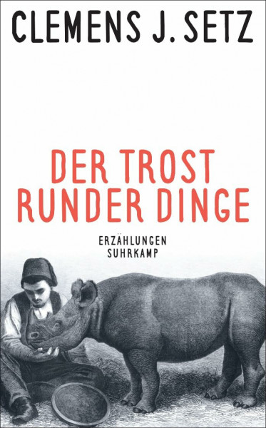 Der Trost runder Dinge: Erzählungen (suhrkamp taschenbuch)