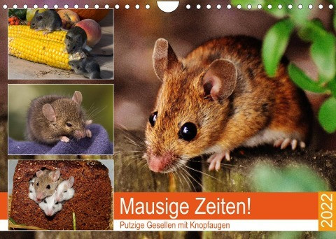 Mausige Zeiten! Putzige Gesellen mit Knopfaugen (Wandkalender 2022 DIN A4 quer)