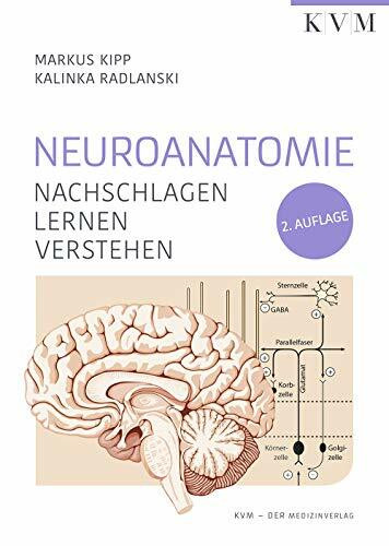 Neuroanatomie: Nachschlagen | Lernen | Verstehen