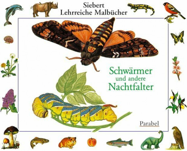 Schwärmer und Nachtfalter: Malbuch (Siebert Lehrreiche Malbücher)