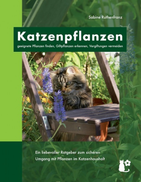 Katzenpflanzen