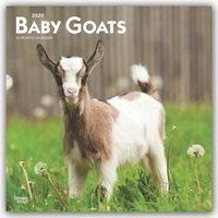 Baby Goats - Ziegenbabys 2020 - 18-Monatskalender