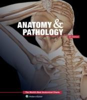 Anatomy & Pathology: The World's Best Anatomical Charts Book