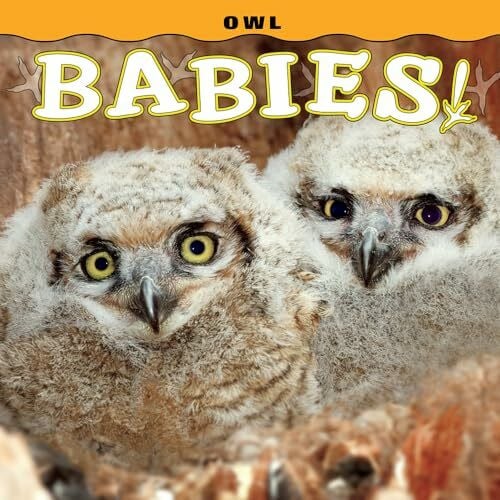 Owl Babies! (Babies! (Farcountry Press))