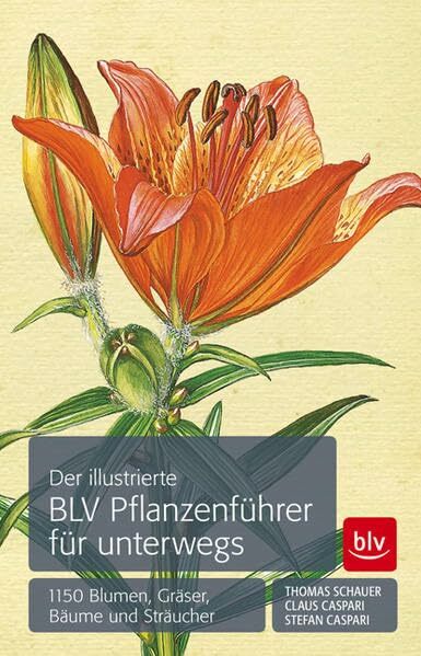 Der illustrierte BLV Pflanzenführer für unterwegs: 1150 Blumen, Gräser, Bäume und Sträucher Der illustrierte BLV Pflanzenführer für unterwegs: 1150 Blumen, Gräser, Bäume und Sträucher
