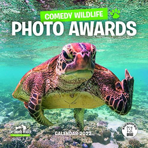 COMEDY WILDLIFE PHOTOGRAPHY AWARDS SQUAR