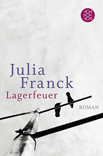 Lagerfeuer: Roman