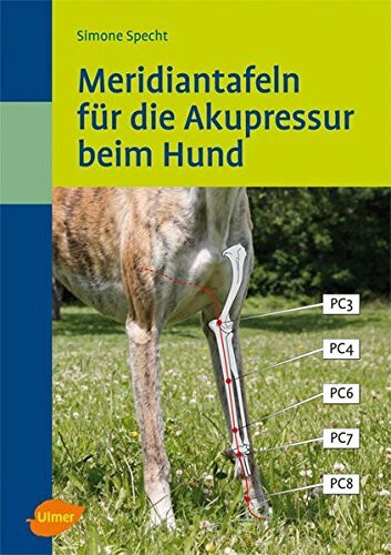 Meridiantafeln für die Akupressur beim Hund (Veterinärmedizin)