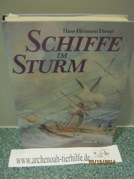 Schiffe im Sturm