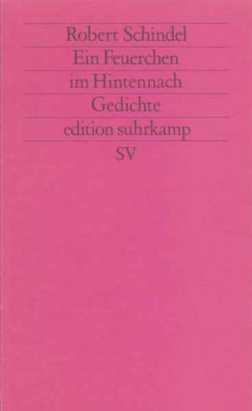 Ein Feuerchen im Hintennach: Gedichte 1986–1991 (edition suhrkamp)