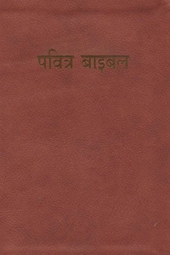 Hindi Bible-FL-Easy-To-Read