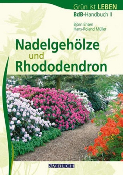 Nadelgehöze und Rhododendron