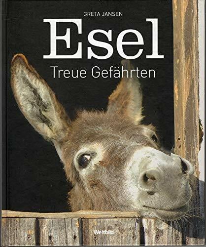 Esel : treue Gefährten.