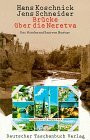 Brücke über die Neretva: Der Wiederaufbau von Mostar (dtv Sachbuch)