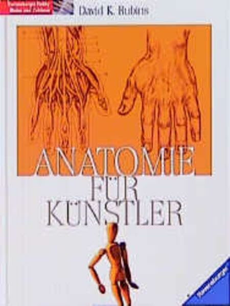 Anatomie für Künstler