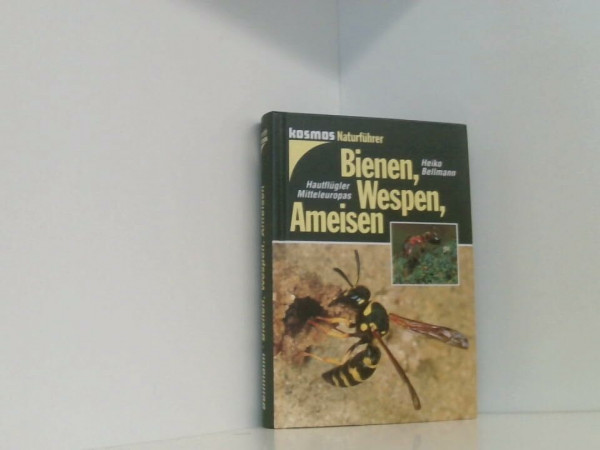 Bienen, Wespen, Ameisen