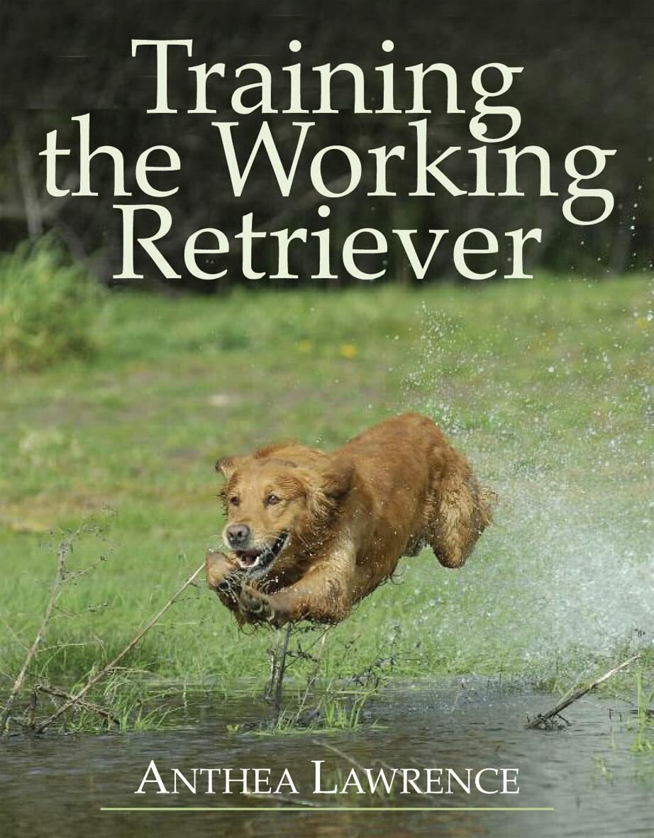 Training the Working Retriever Training the Working Retriever
