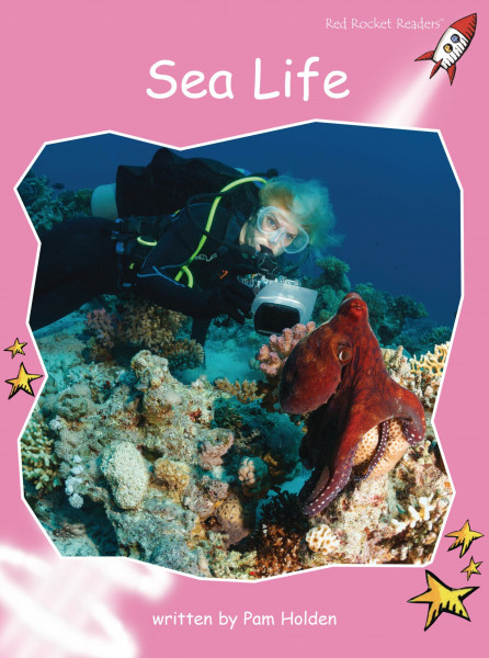 Sea Life: Pre-reading: Pre-Reading Non-Fiction Set A: Sea Life (Reading Level 1/F&P Level A) (Red Rocket Readers, Pre-Reading Level)