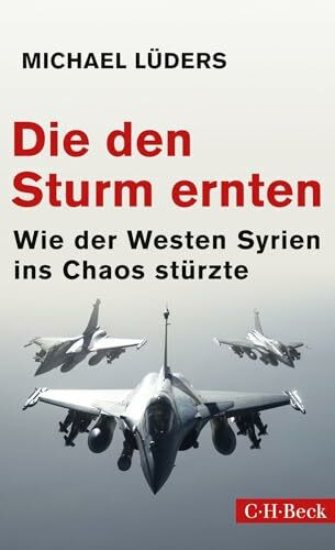 Die den Sturm ernten: Wie der Westen Syrien ins Chaos stürzte (Beck Paperback)