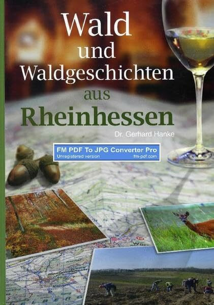Wald und Waldgeschichten aus Rheinhessen