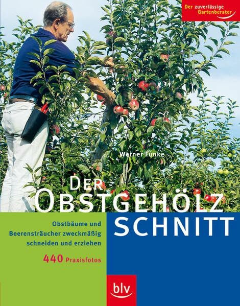 Der Obstgehölzschnitt: Obstbäume und Beerensträucher zweckmässig schneiden und erziehen. Stopper: 440 Praxis-Fotos. Der zuverlässige Gartenberater: ... zweckmäßig schneiden und erziehen