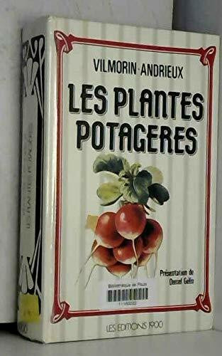 LES PLANTES POTAGERES