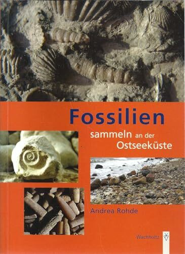 Fossilien sammeln an der Ostseeküste: Trilobiten, Seeigel, Donnerkeile und Co. - Fossilführende Gesteine des südwestlichen Ostseeraumes