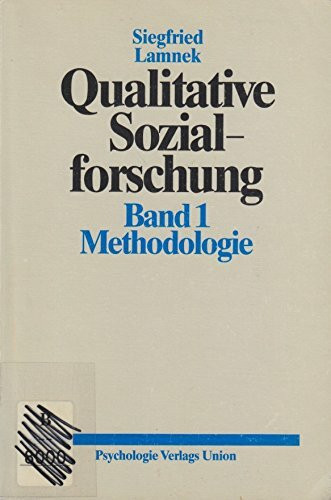 Qualitative Sozialforschung, Bd. 1: Methodologie