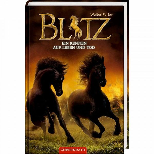 Blitz (Bd. 4): Ein Rennen auf Leben und Tod