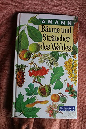 Bäume und Sträucher des Waldes