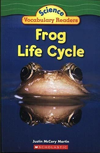 Frog Life Cycle