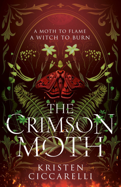 The Crimson Moth: the NEW YORK TIMES bestselling romantasy and TikTok sensation, also known as HEARTLESS HUNTER