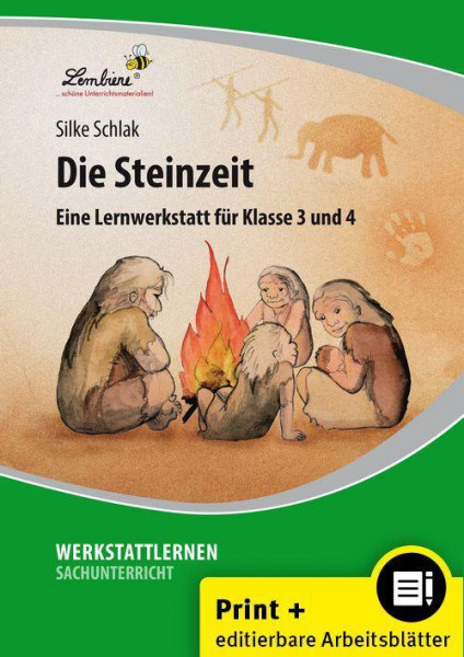 Die Steinzeit