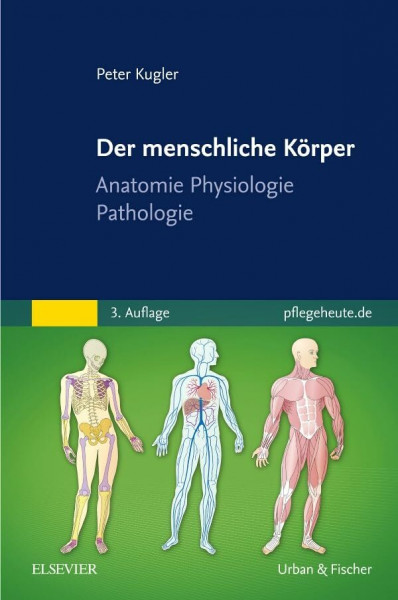 Der menschliche Körper: Anatomie Physiologie Pathologie