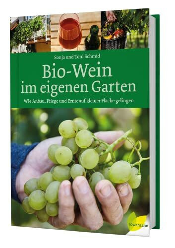 Bio-Wein im eigenen Garten: Wie Anbau, Pflege und Ernte auf kleiner Fläche gelingen