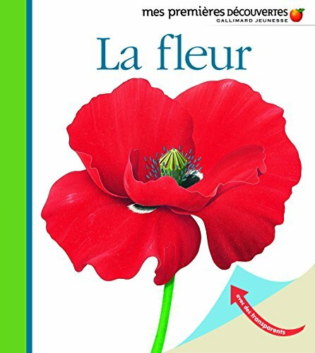 Mes Premieres Decouvertes: La Fleur (Mes premières découvertes)