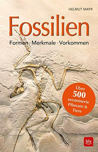 Fossilien: Formen, Merkmale, Vorkommen Über 500 versteinerte Pflanzen & Tiere (BLV Steine, Mineralien & Fossilien)