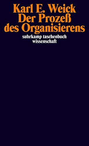 Der Prozeß des Organisierens (suhrkamp taschenbuch wissenschaft)